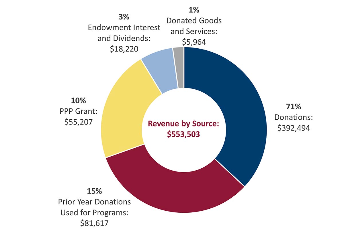 first literacy revenue by source pie chart FY 2021 mobile
